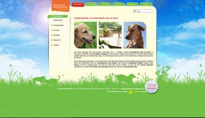website design voor hoogmaatheide